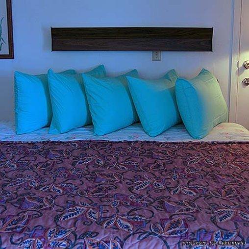 Rainbow Motel Hastings Dış mekan fotoğraf